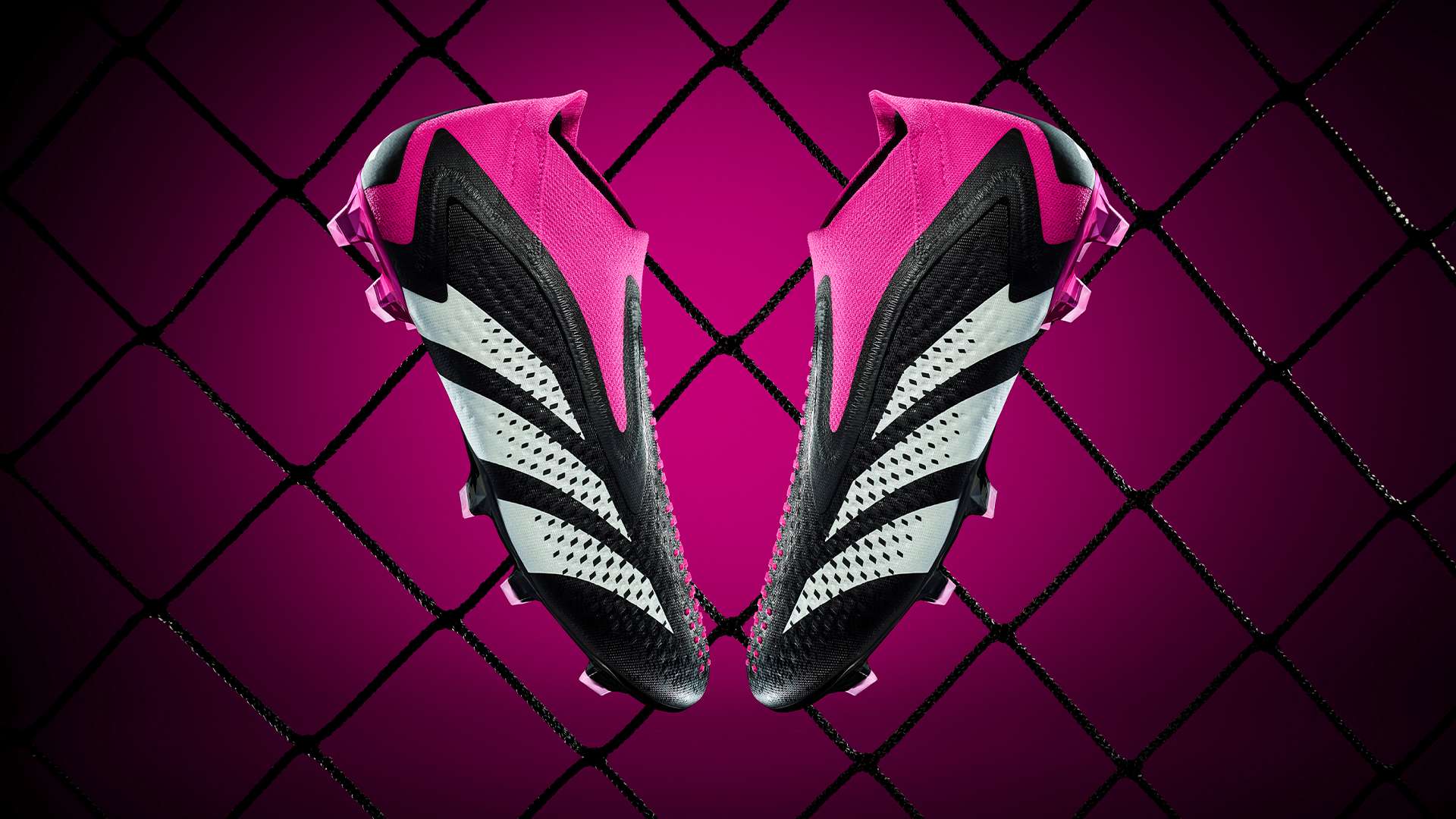 而荷兰若遭 而荷兰若遭